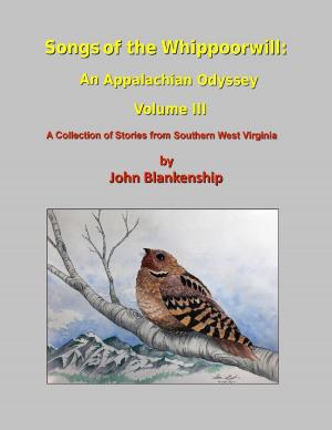 Cover of the book Songs of the Whippoorwill: An Appalachian Odyssey, Volume III by John O'Loughlin