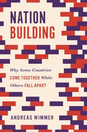 Cover of the book Nation Building by Tim Maudlin
