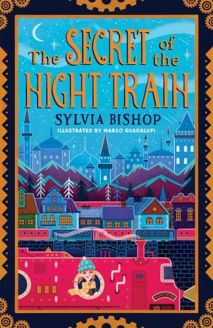 bigCover of the book The Secret of the Night Train by 