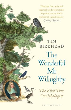 Cover of the book The Wonderful Mr Willughby by Julianne Moore