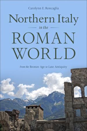 Cover of the book Northern Italy in the Roman World by Faye M. Kert