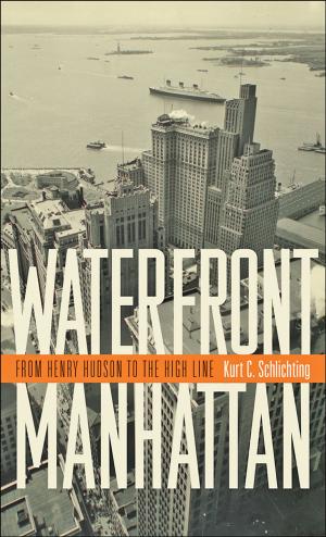 bigCover of the book Waterfront Manhattan by 