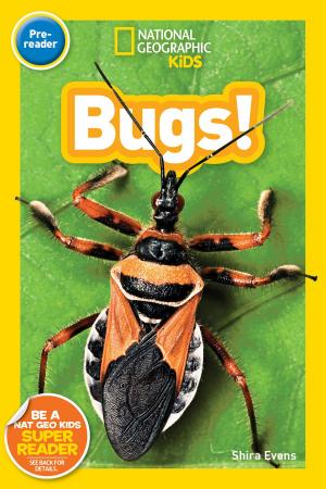 Cover of the book National Geographic Kids Readers: Bugs (Pre-reader) by Brady Barr, Kathleen Weidner Zoehfeld