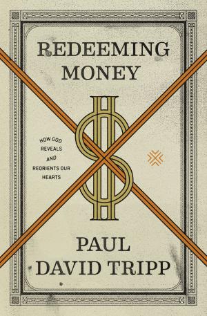 Book cover of Redeeming Money
