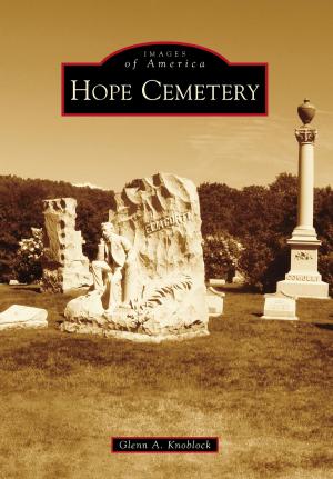Cover of the book Hope Cemetery by Travis Morris