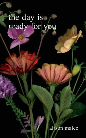 Cover of the book The Day Is Ready for You by Darby Conley