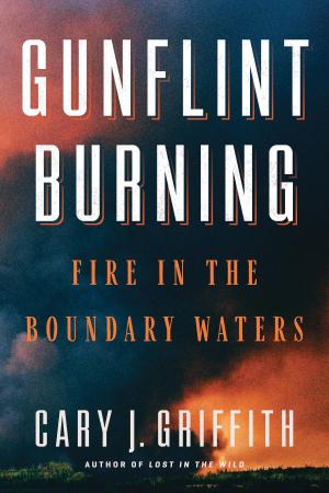 Cover of the book Gunflint Burning by James Baldwin