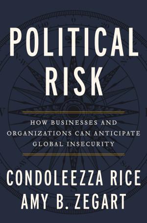 Cover of the book Political Risk by Annie Solomon