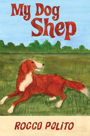Cover of the book My Dog Shep by Margo Ragland Reid