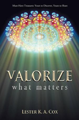 Cover of the book Valorize What Matters by R. Joseph Ritter, Jr.