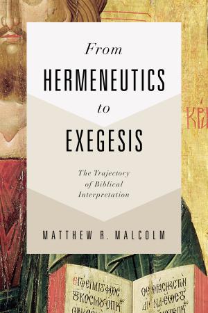 bigCover of the book From Hermeneutics to Exegesis by 