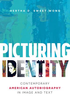Cover of the book Picturing Identity by Joan Shelley Rubin