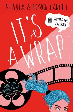 Cover of the book It's a Wrap by Drew Chapman