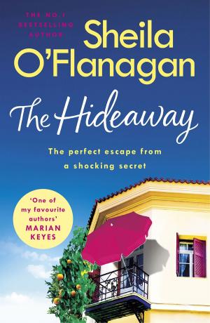 bigCover of the book The Hideaway by 