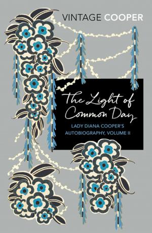 bigCover of the book The Light of Common Day by 