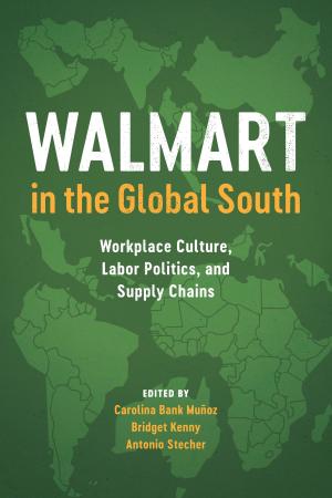 Cover of the book Walmart in the Global South by Robert Keefe