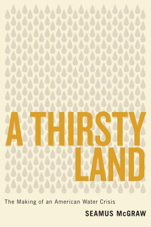 Cover of the book A Thirsty Land by E. Bradford Burns, Thomas E. Skidmore
