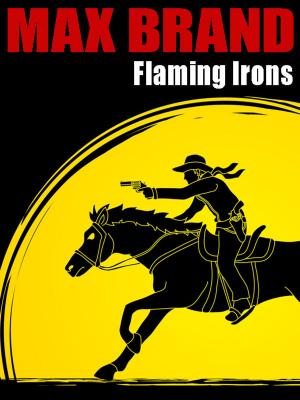 Cover of the book Flaming Irons by Lloyd Biggle Jr.