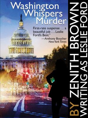 Cover of the book Washington Whispers Murder by J. J. MacLeod