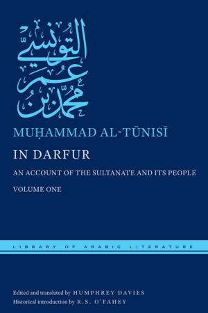 Cover of the book In Darfur by Annie Polland, Daniel Soyer