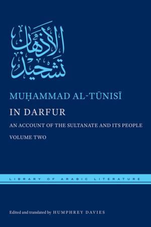 Book cover of In Darfur