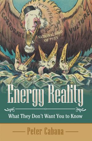 Cover of the book Energy Reality by Joan P. Hudson