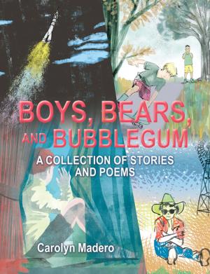 Cover of the book Boys, Bears, and Bubblegum by Matt Huang, Grace Hsu