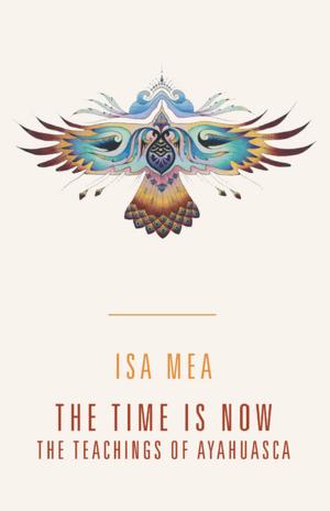 Cover of the book The Time Is Now by Steve Ritter