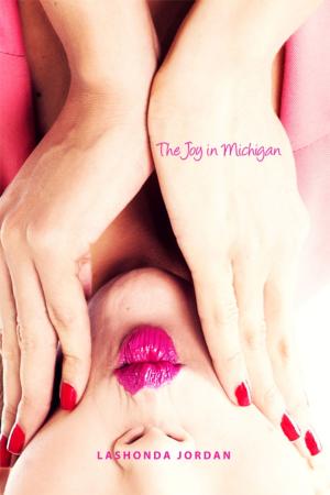 Cover of the book The Joy in Michigan by Alex Eke