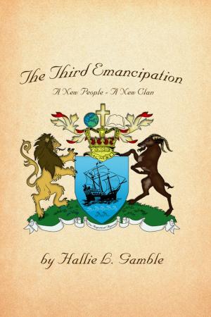 Cover of the book The Third Emancipation by John Coppett