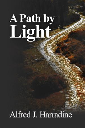 bigCover of the book A Path by Light by 