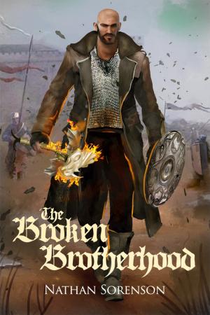 Cover of the book The Broken Brotherhood by Deborah Rogers