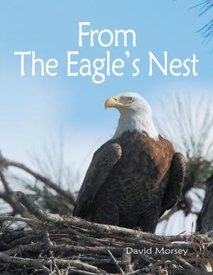 Book cover of From the Eagle's Nest