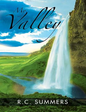 Cover of the book My Valley by James Brown