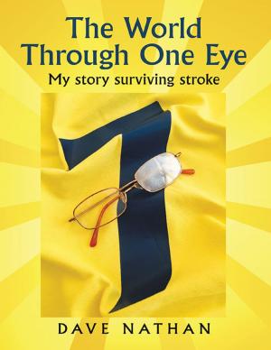 Cover of the book The World Through One Eye: My Story Surviving Stroke by Noëlle Vignola, LCSW