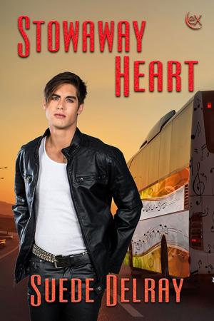 Cover of the book Stowaway Heart by P. J. Dean