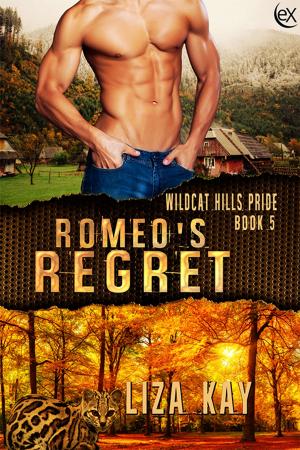 Cover of the book Romeo's Regret by Jackie Rose