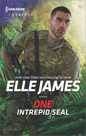 Cover of the book One Intrepid SEAL by Janice Macdonald