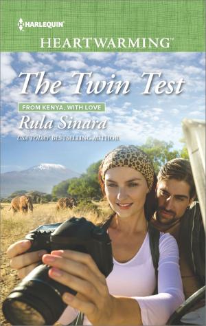 Cover of the book The Twin Test by B.J. Daniels