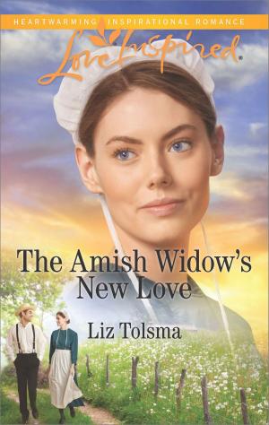 Cover of the book The Amish Widow's New Love by Bonnie Vanak