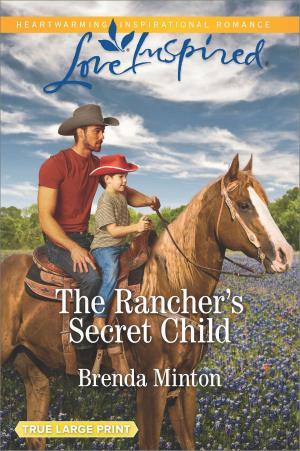 Cover of the book The Rancher's Secret Child by Sara Craven