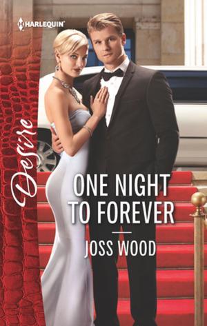 Cover of the book One Night to Forever by Emily Padraic