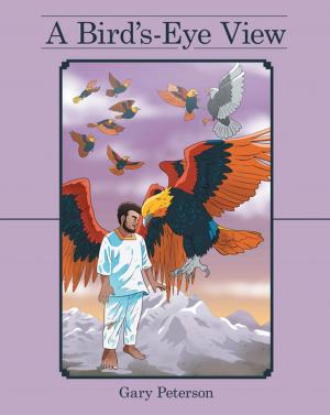 Cover of the book A Bird’S-Eye View by Regina F. Pumphrey