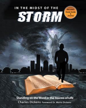 Cover of the book In the Midst of the Storm by Wayne C. Fredrick