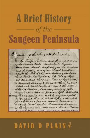 Cover of the book A Brief History of the Saugeen Peninsula by J.B. Lane