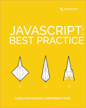 Cover of the book JavaScript: Best Practice by Meri Williams