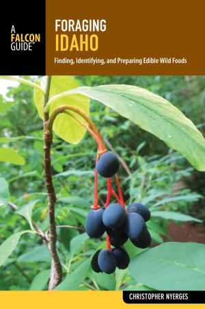Cover of the book Foraging Idaho by Melinda Crow