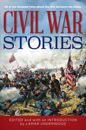Cover of the book Civil War Stories by Steve Springer, Blake Chavez