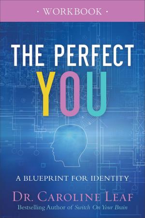 bigCover of the book The Perfect You Workbook by 