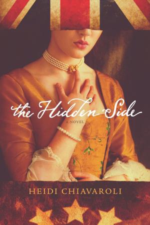 Book cover of The Hidden Side